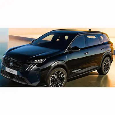 Photo from the official notice: Peugeot 3008, 5008 passenger car — injuries risk (SR/00050/25)