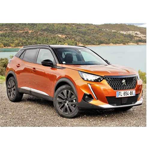 Photo from the official notice: Peugeot 208 II, 2008 II, Rifter, Partner, Traveller, Expert passenger car / light commercial vehicle — injuries risk