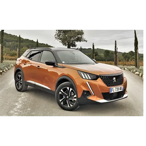 Photo from the official notice: Peugeot 208 II, 2008 II passenger car — injuries risk