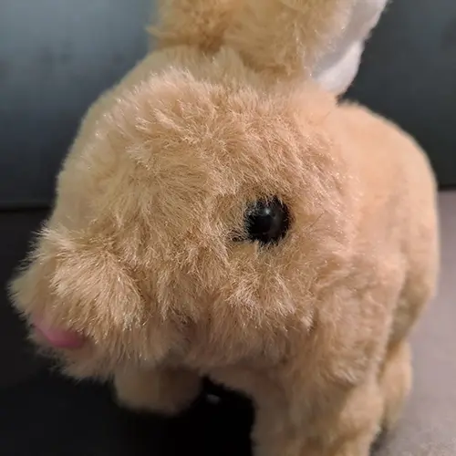 Foto do aviso oficial: Plush Toy rabbit Coelho-brinquedo alimentado a bateria — risco: Engasgamento