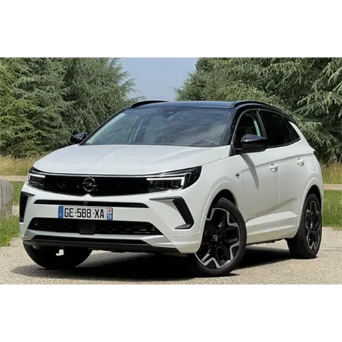 Photo from the official notice: Opel/Vauxhall Astra L, Combo, Corsa, Crossland X, Grandland X, Mokka, Zafira passenger car / light commercial  — injuries risk