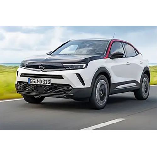 Photo from the official notice: Opel/Vauxhall Astra L, Combo, Corsa, Crossland X, Grandland X, Mokka, Zafira passenger car / light commercial  — injuries risk