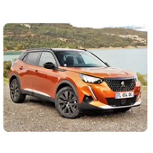 Photo from the official notice: Peugeot 208, 2008 passenger car — fire risk (SR/02876/25)