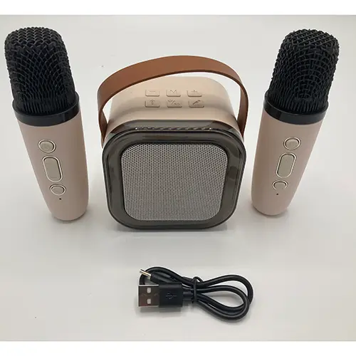 Photo de l’avis officiel: Colorful karaoke sound system Wireless Karaoke Speaker Ensemble de karaoké — risque: Environnement