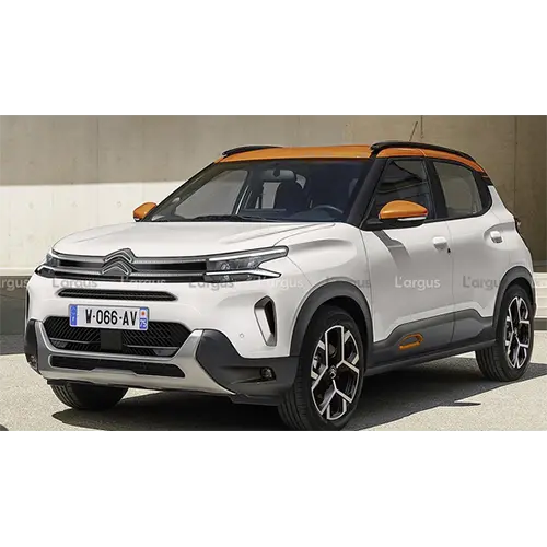 Photo from the official notice: CITROEN Berlingo, C3 Aircross V2, C3 V4, C4 Cactus, C4 Picasso, C5 Aircross, Celysee, Spacetourer, Jumpy, J pa — environment risk