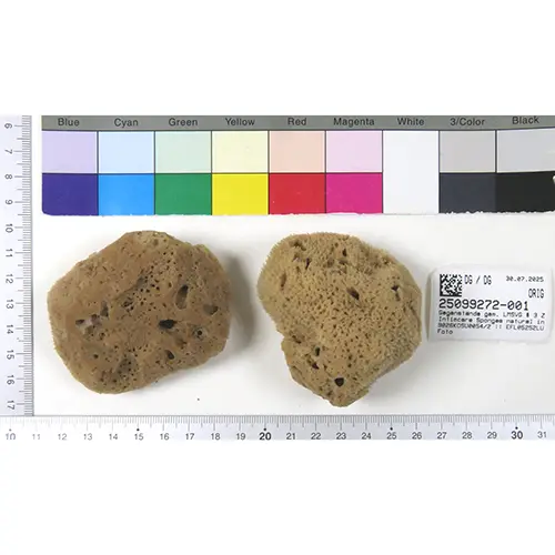 Foto dell’avviso ufficiale: natural intimacy Intimcare Sponges Spugne per la cura intima — rischio: Rischio per la salute / altro