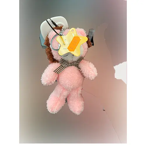 Photo de l’avis officiel: New Star Leone peluche Porte-clés avec jouet doux — risque: Étouffement