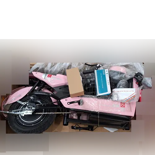 Foto uit de officiële melding: Gicinu Electric bicycle Elektrische fiets — risico: Brand (SR/03991/25)