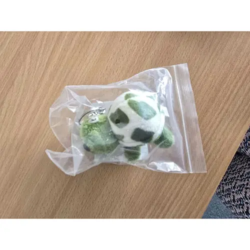Photo from the official notice: TNSLAND Porte-clés Tortue - Cute mini turtle pendant keyring — choking risk