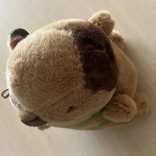 Foto do aviso oficial: Porte clés en peluche capybara, plush doll Anel-chave com brinquedo macio — risco: Engasgamento