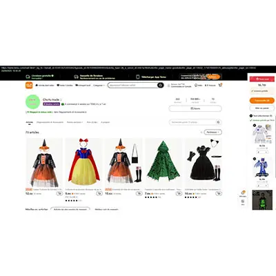 Photo from the official notice: Robe de sorcière à capuche violette avec manches trompette en dentelle noire et patchwork + chapeau fancy dres — burns & fire risk
