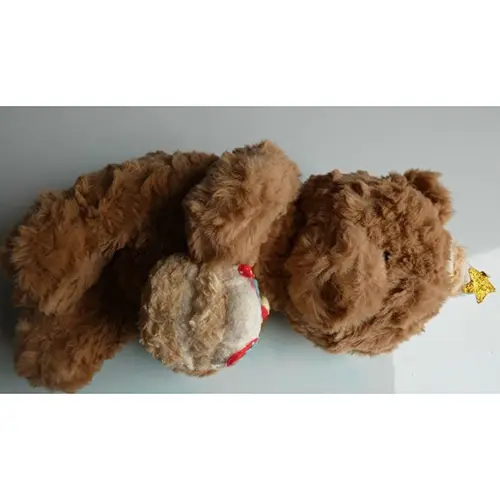 Photo from the official notice: Stuffed Plush Toy- Hug Series birthday Bear push Toy soft toy — choking risk