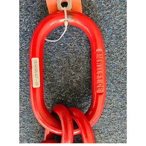 Photo de l’avis officiel: Vevor Chain Sling Écharpe à chaîne — risque: Blessures (SR/00628/26)