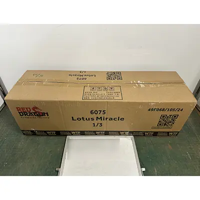 Photo from the official notice: Fireworks International B.V. Lotus Miracle — burns & damage to hearing risk