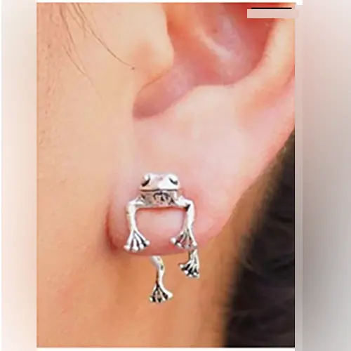 Foto dell’avviso ufficiale: Silver Frog Earring Orecchini — rischio: Rischio chimico