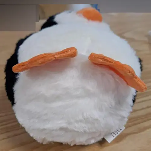 Photo de l’avis officiel: Katyjun Penguin Plush Toy Jouet souple — risque: Étouffement