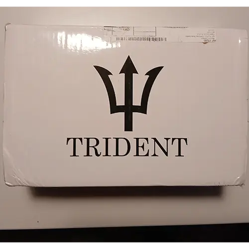 Photo de l’avis officiel: Trident Pompe à eau — risque: Choc électrique
