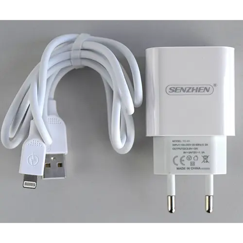Photo de l’avis officiel: SENZHEN CHARGER Chargeur USB — risque: Choc électrique