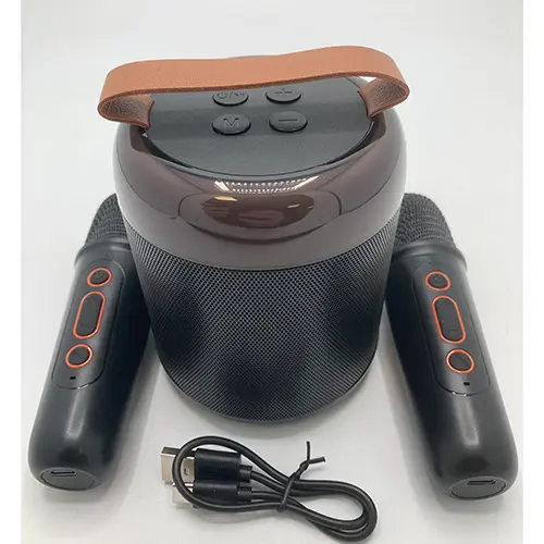 Photo from the official notice: Wireless karaoke set — environment risk