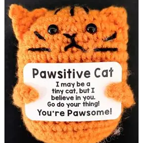 Photo de l’avis officiel: Pawsitive Cat Toy Jouet souple — risque: Étouffement & Suffocation