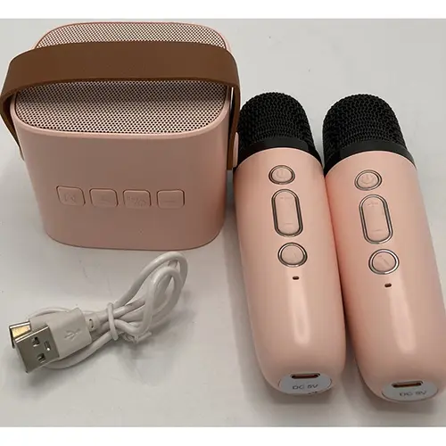 Photo from the official notice: Portable Karaoke Speaker Kits portable karaoke set — chemical & environment risk