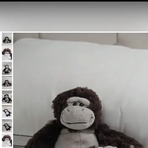 Foto aus der offiziellen Meldung: 23 cm Jouet en peluche mignon de gorille de simulation de bande dessinée Weiches Spielzeug — Risiko: Ersticken