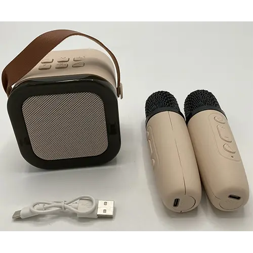 Photo from the official notice: AFF IMPORT Zestaw Karaoke karaoke machine — environment risk