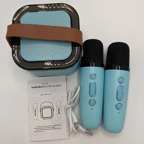 Photo from the official notice: Fede Mini karaoke machine — environment risk