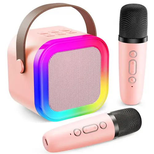 Photo from the official notice: Fede Mini karaoke machine — environment risk