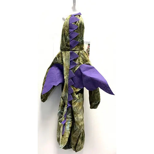 Photo de l’avis officiel: Wicked Costumes Dinosaur Costume de jouet — risque: Risque chimique & Environnement