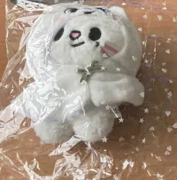 Photo from the official notice: porte clé en peluche Stray Kids Skzoo keyring with soft toy — choking risk