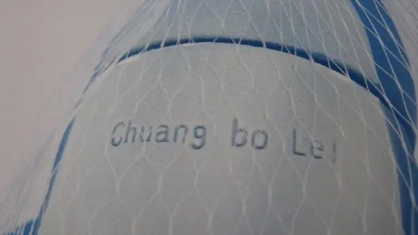 Foto dell’avviso ufficiale: Chuang bo Lel Squeaky dolphin Giocattolo di plastica — rischio: Rischio chimico