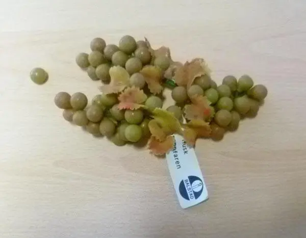Foto aus der offiziellen Meldung: BALSTAD Dekorative Trauben — Risiko: Ersticken