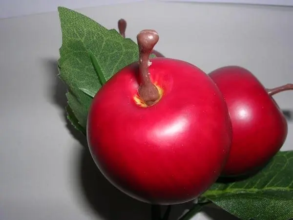 Photo de l’avis officiel: Pommes décoratives — risque: Étouffement