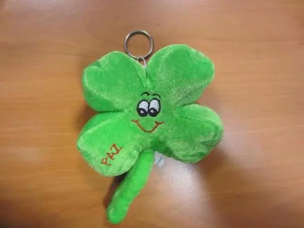 Photo from the official notice: Soft toy key-ring — choking risk