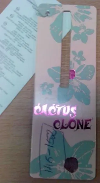Photo de l’avis officiel: Cactus Clone Bikini pour filles — risque: Blessures & Etranglement (A12/1453/15)