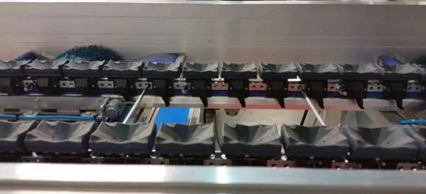 Photo from the official notice: ELISAM APPLE GRADING &amp; PACKING apple grading and packing machine