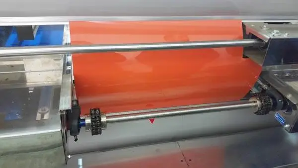 Photo from the official notice: ELISAM APPLE GRADING &amp; PACKING apple grading and packing machine