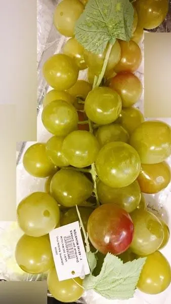 Photo from the official notice: CHAKS Grappe raisin PVC (PVC bunch of grapes) decorative grapes — choking risk