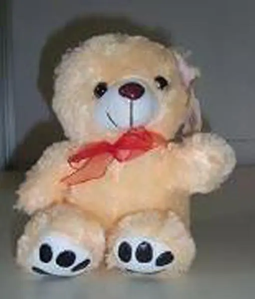 Photo from the official notice: Fang Zhou Toys soft toy — choking risk (A12/0706/16)