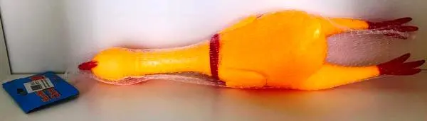Foto dell’avviso ufficiale: PartyXplosion Shrilling Chicken Giocattolo di plastica — rischio: Rischio chimico