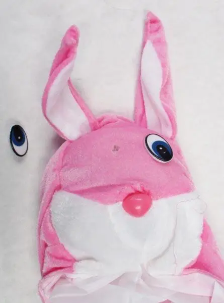 Foto aus der offiziellen Meldung: Guirca Conejito ('Rabbit') Kostüm ausgefallenem Kleid — Risiko: Ersticken