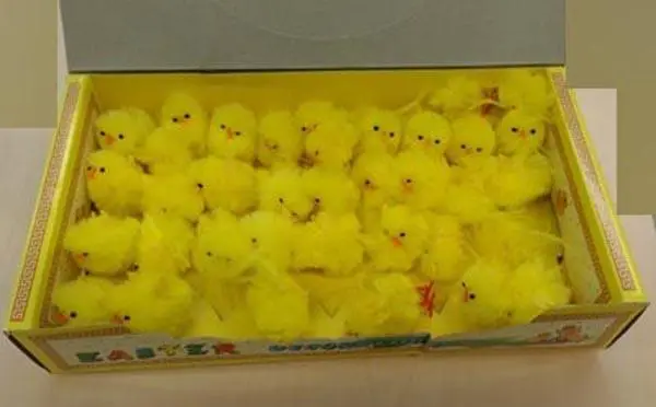 Foto aus der offiziellen Meldung: EASTER DECORATIONS Spielzeugküken — Risiko: Ersticken