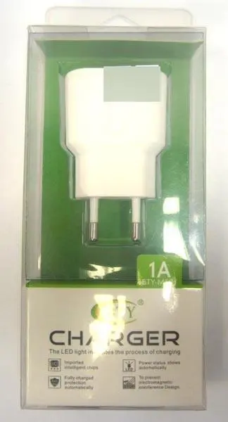 Photo de l’avis officiel: BTY CHARGER Unité d’alimentation électrique — risque: Choc électrique & Incendie