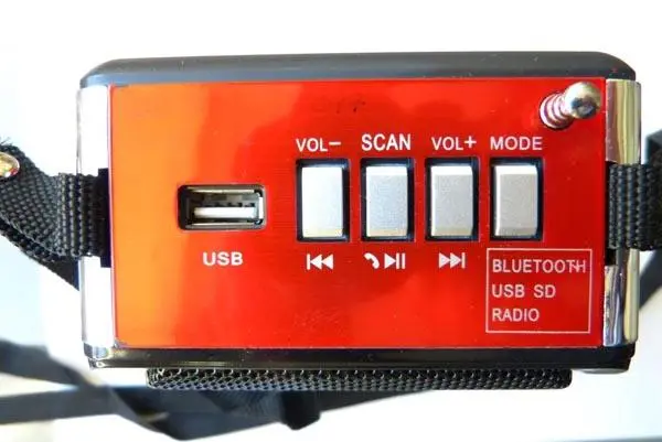 Photo de l’avis officiel: Goldfull Portable FM Radio — risque: Choc électrique