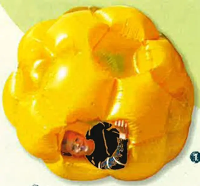 Photo from the official notice: LEXIBOOK large ball "giga ball lexibook" — burns risk