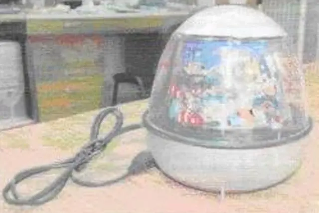 Photo from the official notice: DOLPHIN table lamp — electric shock risk