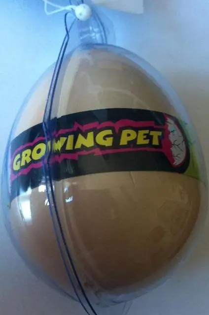 Foto dell’avviso ufficiale: Dinosaur egg Growing Pet Giocattolo di plastica dinosauro — rischio: Ostruzione delle vie aeree & Lesioni