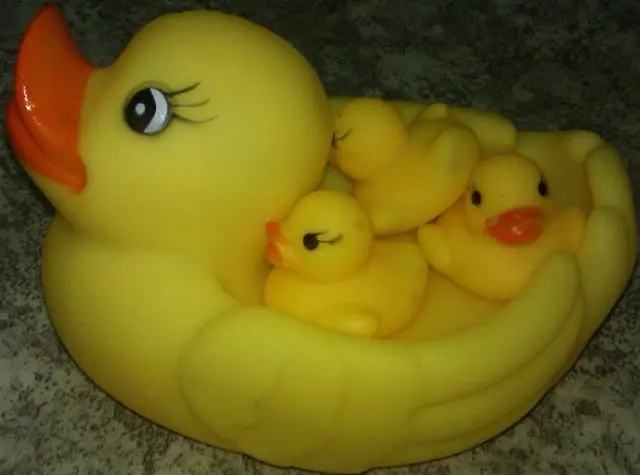 Foto do aviso oficial: Patos de plástico — risco: Químico