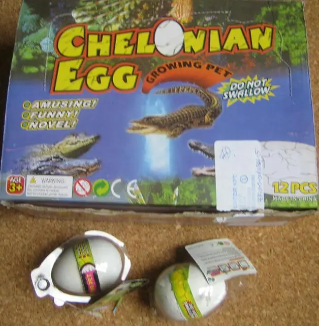 Photo de l’avis officiel: Dinosaur Egg, Chelonian Egg L’expansion des jouets — risque: Étouffement & Risque sanitaire/autre
